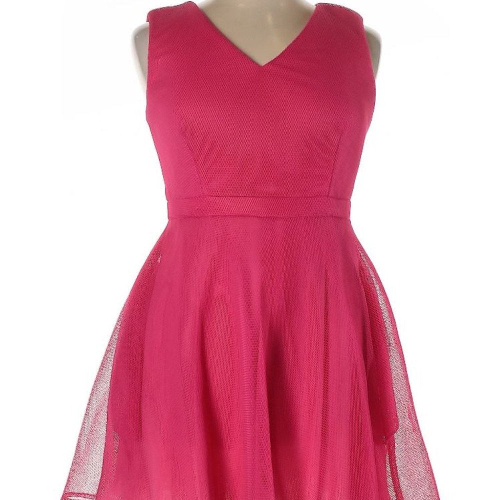 Pink Mesh Lotus Size 4 Fit & Flare Dress w/Pockets